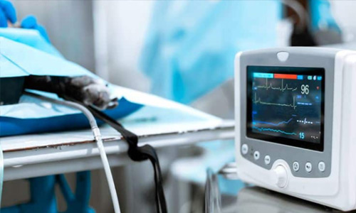 Cardiology