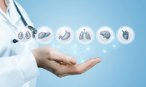 Internal Medicine