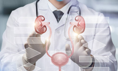 Urology